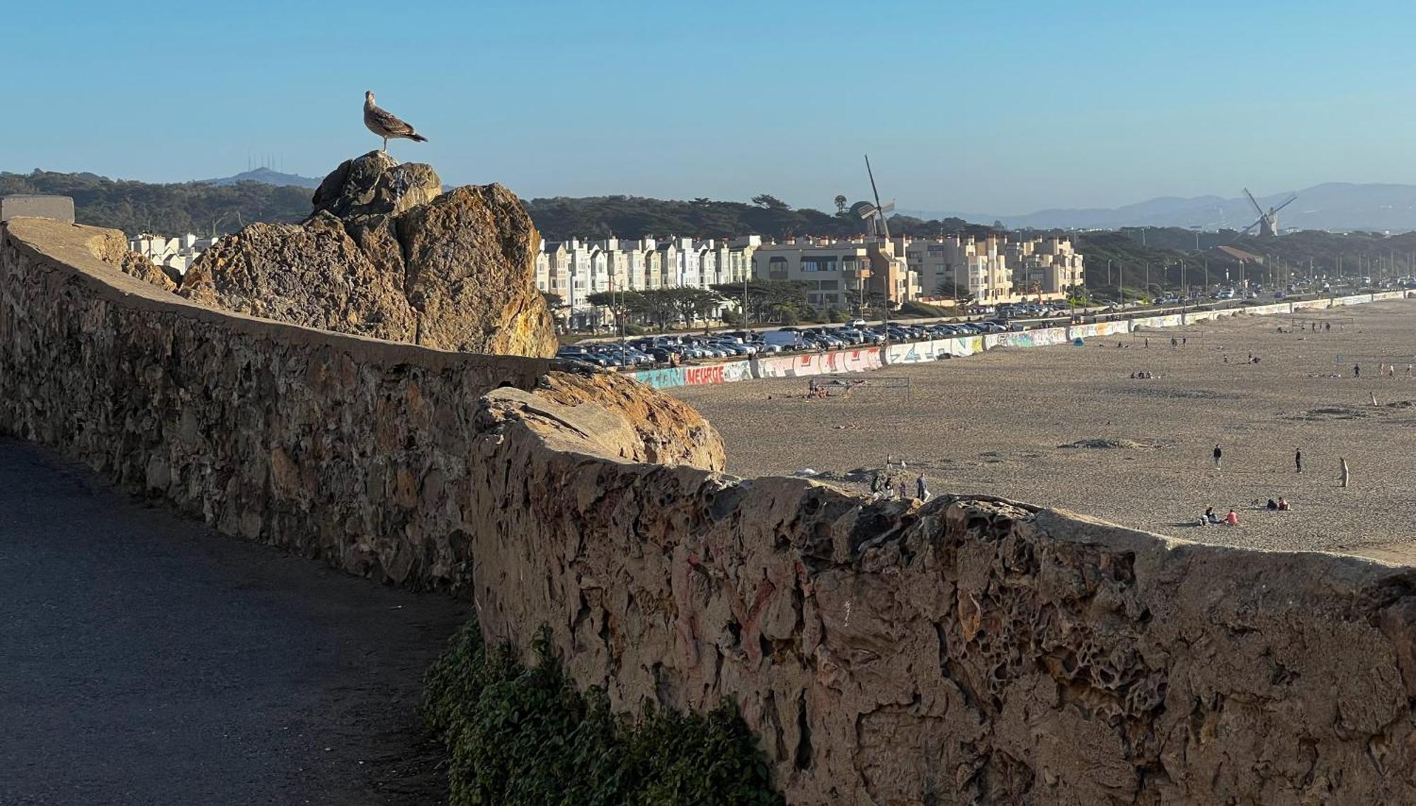Stunning Sanfran Casa Close To Center And Steps From Ocean ซานฟรานซิสโก ภายนอก รูปภาพ